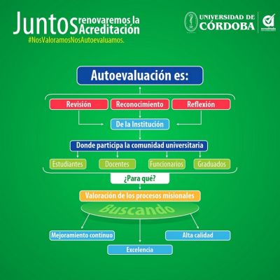 autoevaluacion-organigrama-1-400×400 acreditación universidad de cordoba