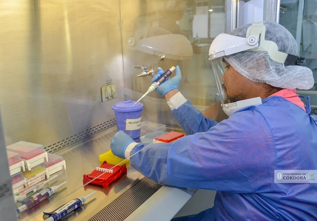 92434115_905683699863493_8582531434181296128_n