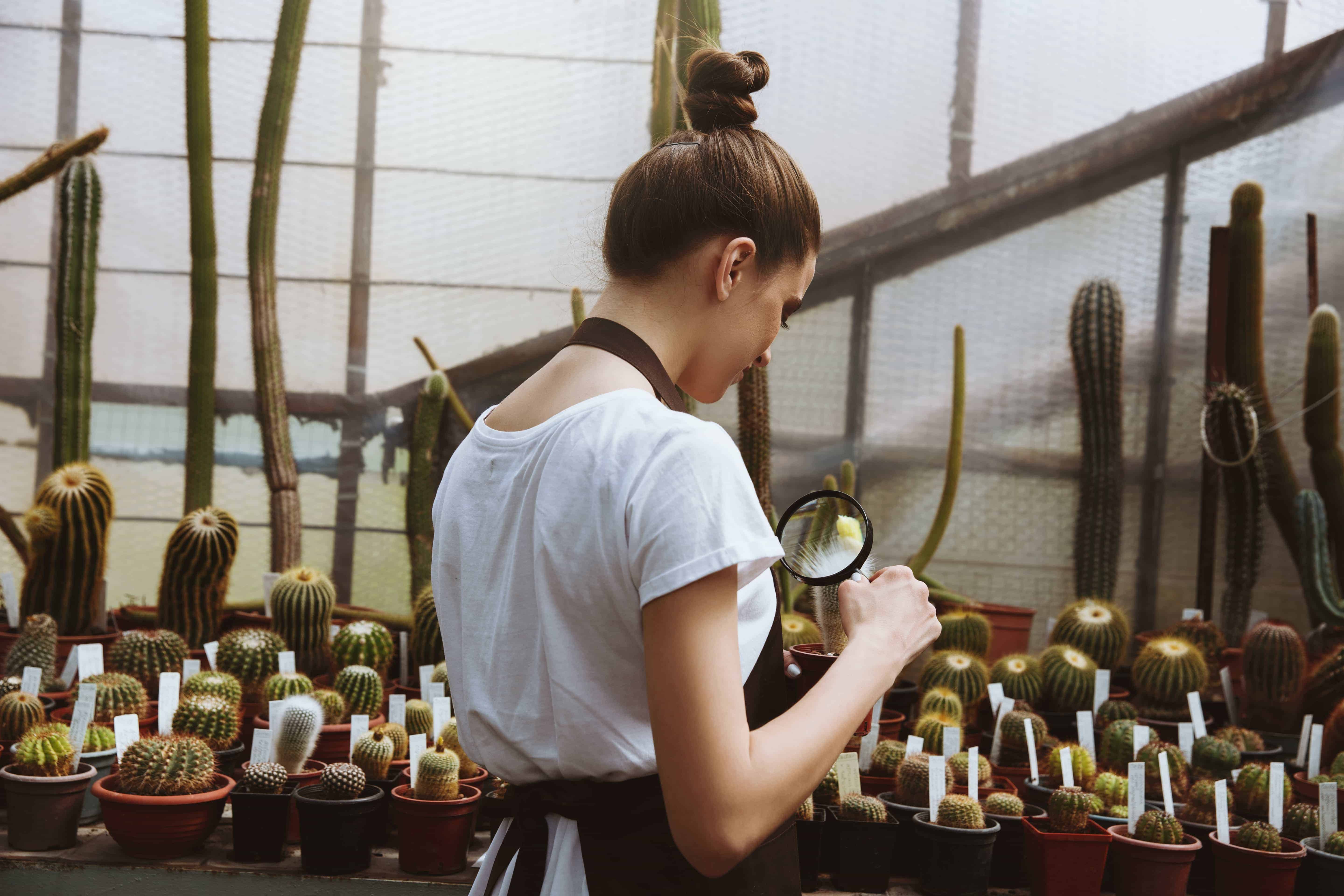 concentrated-young-woman-standing-greenhouse-near-plants (1)