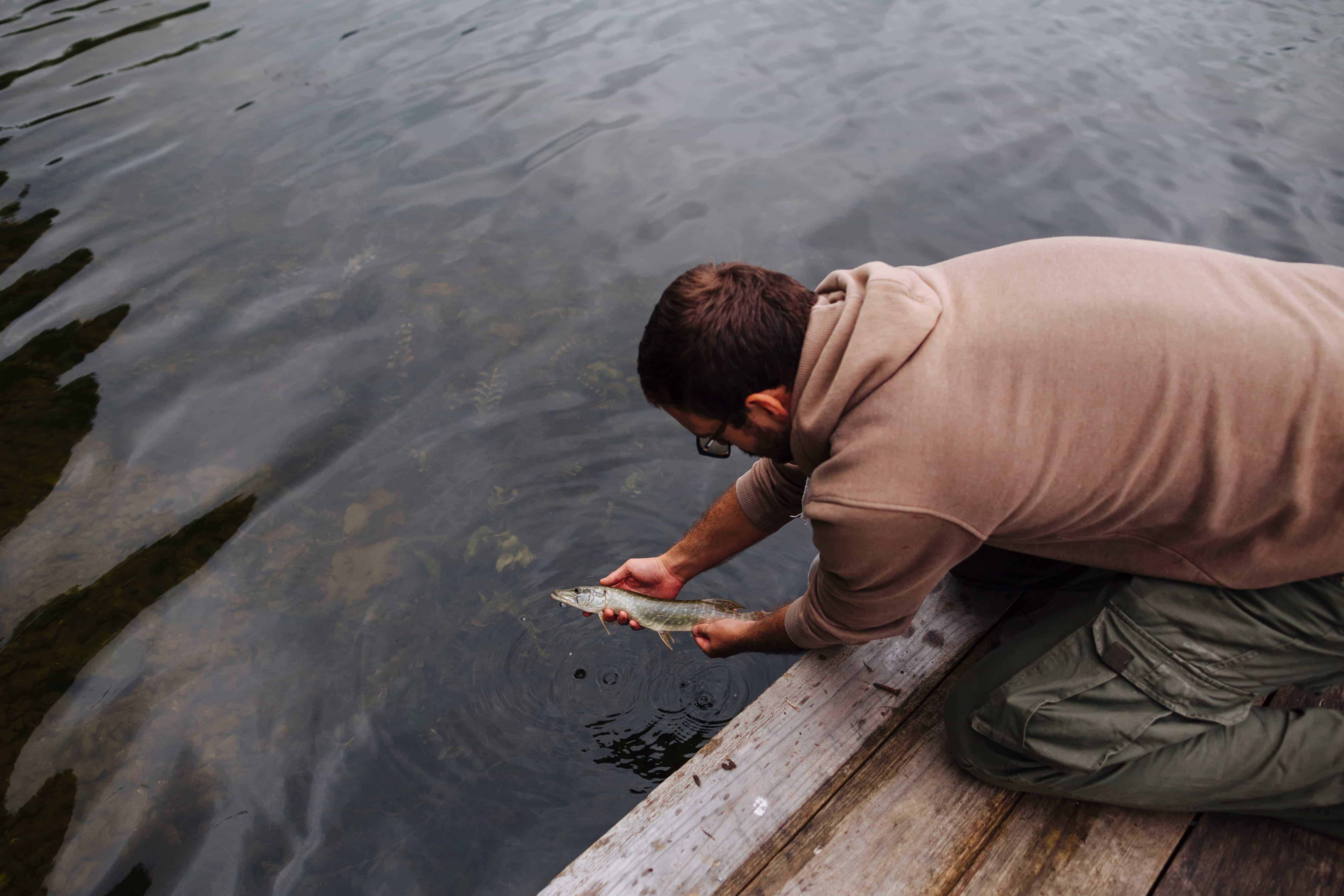 man-leaving-freshly-caught-fish-lake (1)