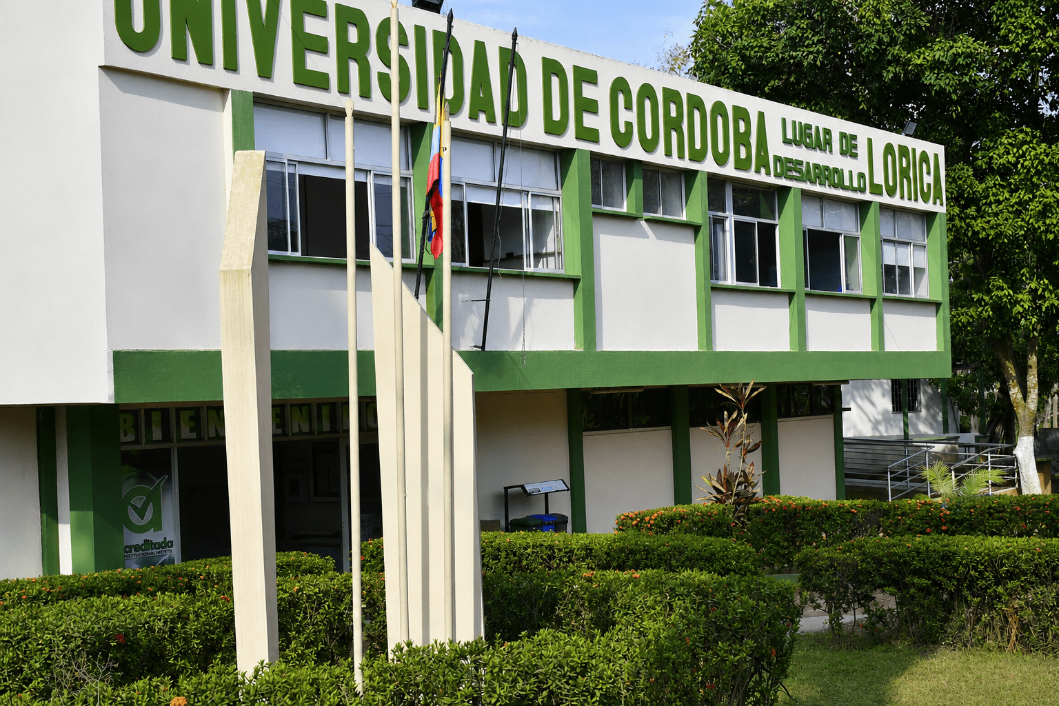 Lugar de desarrollo