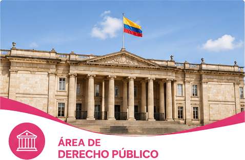 ÁREA DE DERECHO PÚBLICO
