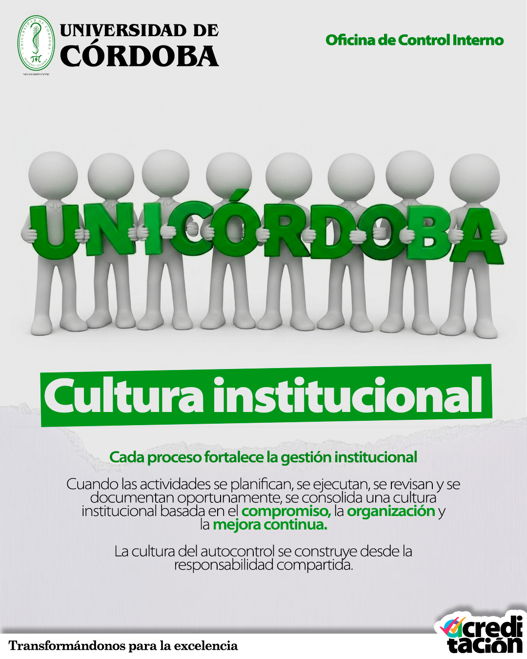 Cultura institucional
