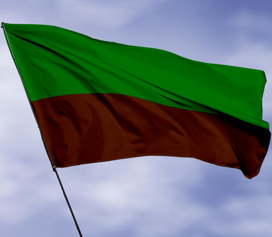 Bandera de la Universidad de Córdoba