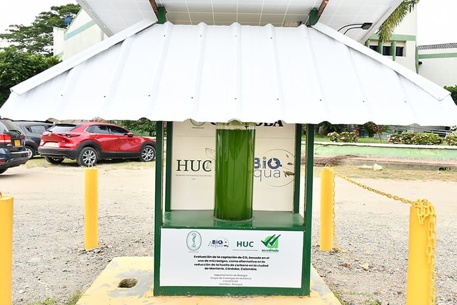 El fotobiorreactor instalado en la Universidad de Córdoba permite medir la capacidad de las microalgas para remover dióxido de carbono del ambiente mediante un sistema de monitoreo con sensores.
