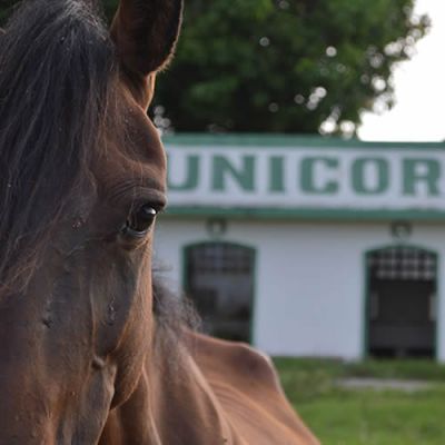 Prograa de Medicina Veterinaria y Zootecnia