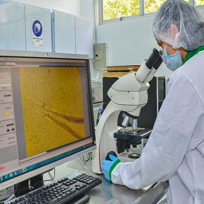 Prograa de Medicina Veterinaria y Zootecnia