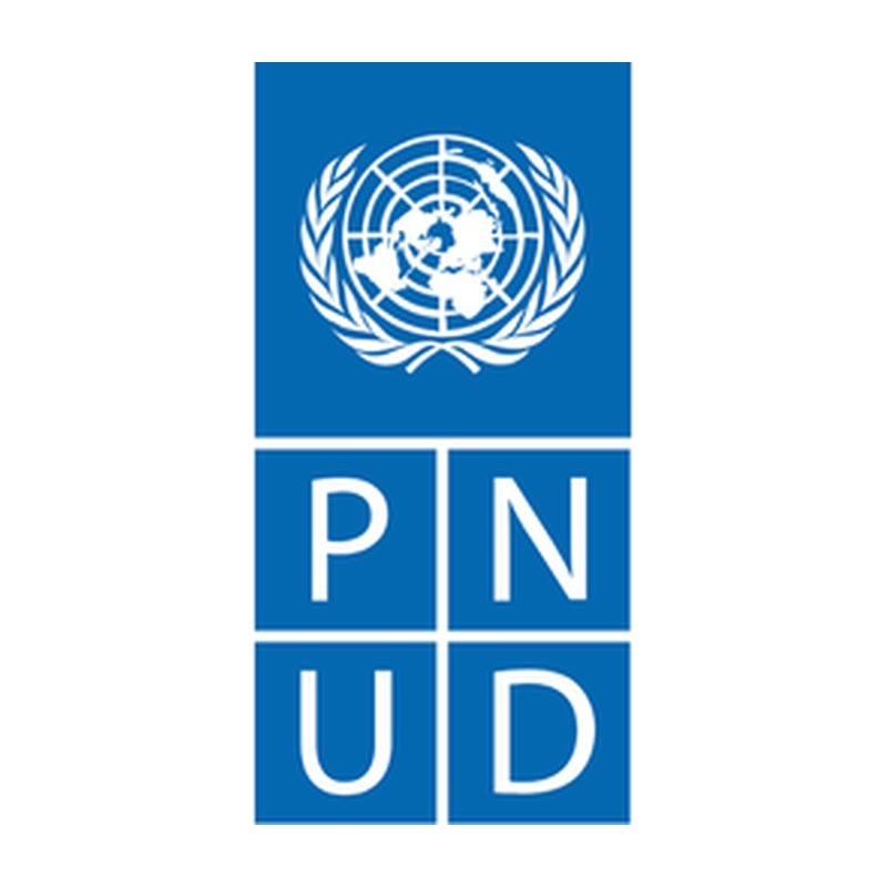 pnud