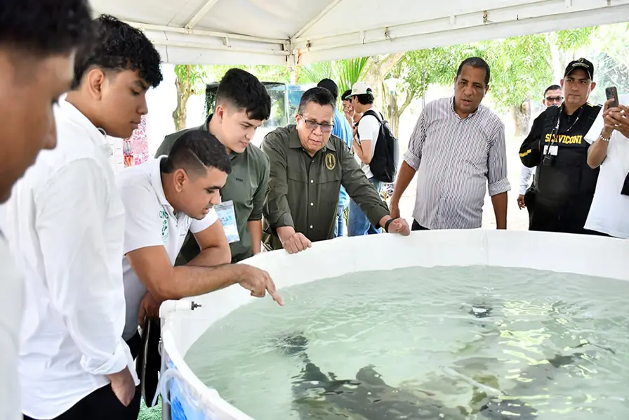 Más de 2.000 peces y otras especies acuáticas hicieron parte de esta experiencia, que permitió a estudiantes, docentes y visitantes, conocer de cerca el trabajo científico, productivo y de conservación que desarrolla la Universidad de Córdoba a través de su Centro de Investigaciones Piscícolas.