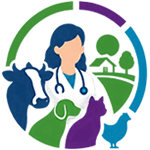 propgramas de extensión
