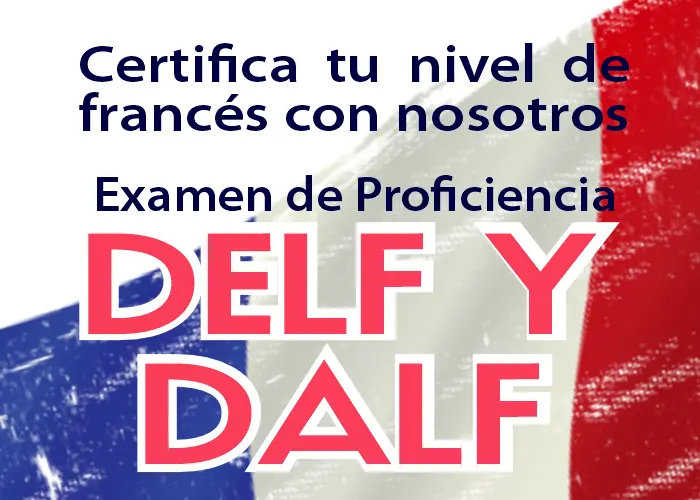 delf y dalf
